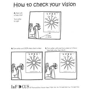 Poster - "How to Check Your Vision" - English